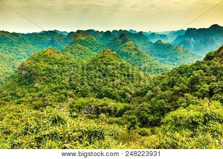 Halong Bay Mountain Viewpoint From Cat Ba Island, Ngu Lam Peak In Vietnam