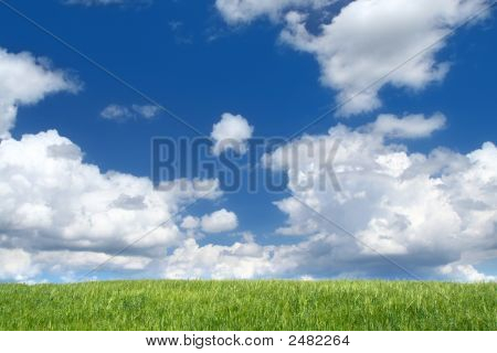 Felt med Cumulus skyer