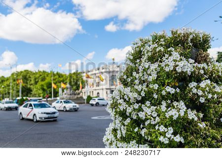Cibles Square In Madrid With Taxis And Floral Ornaments