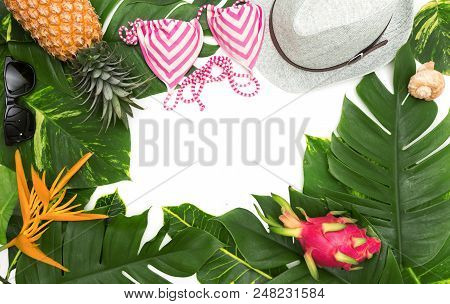 Still Life Photo Holiday Concept With Border Of Monstera Vine Leaf And Bikini, Hat, Fruit And Flower