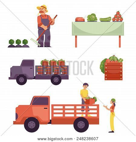 Flat Farmer Products Delivery Process From Harvest To Market. Man In Professional Uniform - Rubber B