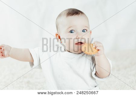 Adorable Baby Eating A Cookie