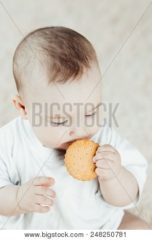 Adorable Baby Eating A Cookie