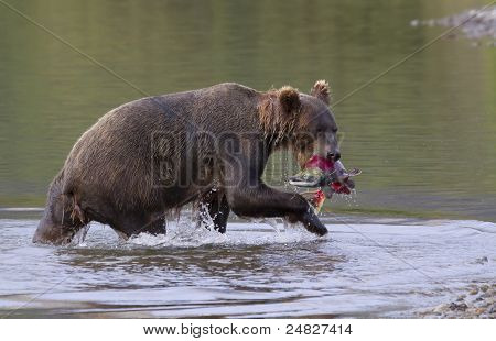 orso di pesca