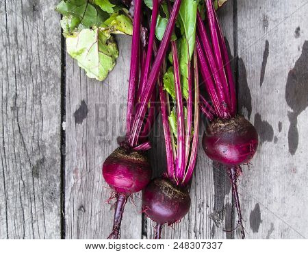 Beet  From Organic Grower Farm On A Wooden Background.top View. Place For Text.dark Vintage Backgrou