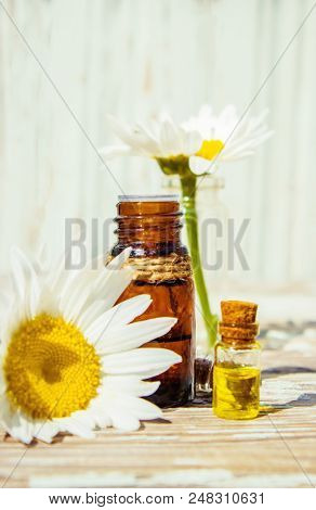 Chamomile Essential Oil. Selective Focus. Butle Little.