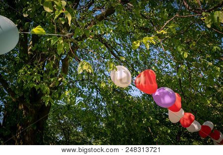 Festive Garden Decoration