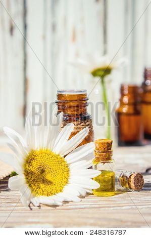 Chamomile Essential Oil. Selective Focus. Butle Little.
