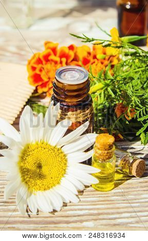 Chamomile Essential Oil. Selective Focus. Butle Little.