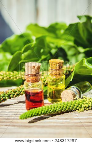Essential Oil Of Plantain In A Small Bottle. Selective Focus.