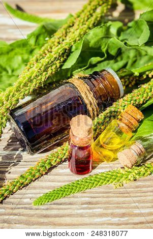 Essential Oil Of Plantain In A Small Bottle. Selective Focus.