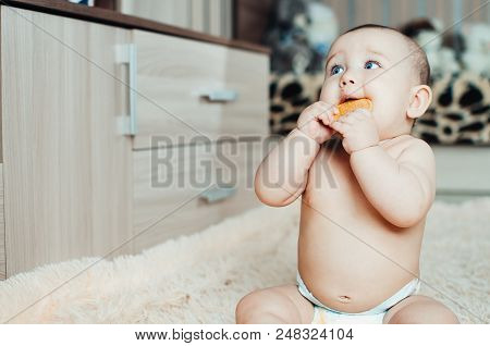 Adorable Baby Eating A Cookie