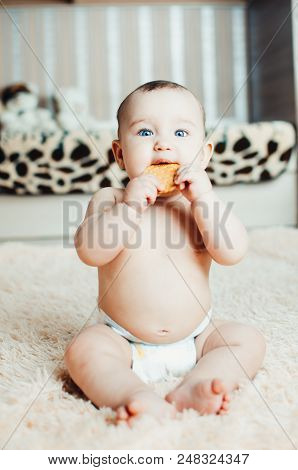 Adorable Baby Eating A Cookie