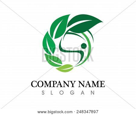 Leaf Green Nature Logo And Symbol Template Vector