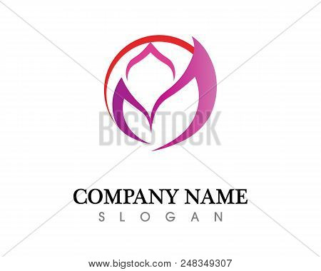 Vector - Vector Set Of Floral Patterns On A White Background