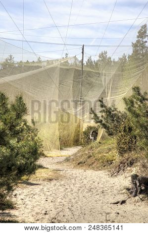 Curonian Spit, Russia - May 02.2018: The Curonian Spit National Park. Ornithological Station Of Frin