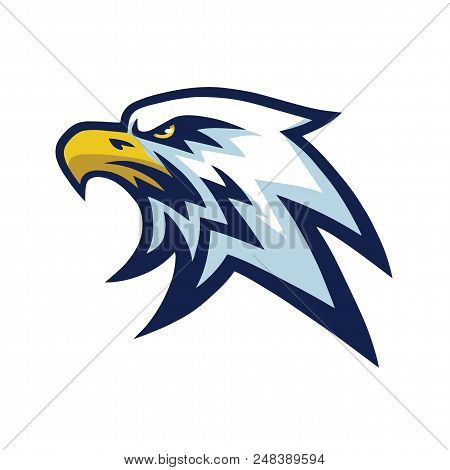 Eagle Head Mascot Sports Team Logo Template Illustration