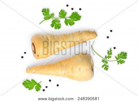 Two Parsnip Root Vegetable With Coriandrum Leaf Isolated On White Background, Top View, Flat Lay