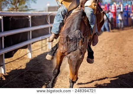 Cowboy Riding A Bucking Bronco Horse In A Competition At A Country Rodeo
