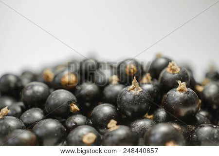 Dripping Black Cuurant On White Texture. Close-up Photo.