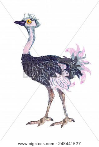 Ostrich. Hand Drawing Cartoon Illustration Isolated On White Backdrop. Wildlife Art For Fabric, Post