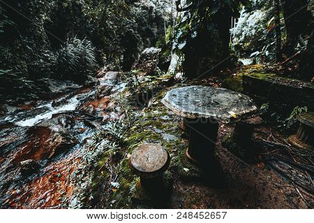 Forsaken Ruins In The Jungle: Stone Table With Multiple Backless Stools Around With Bases In Form Of