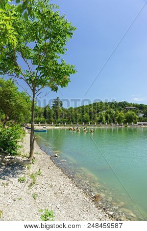 Picturesque Sumy (lat. Rhus) On The Bank Of The Mountain Lake Abrau