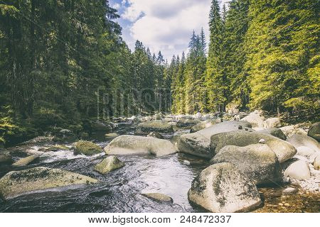 River Vydra In Sumava Mountains