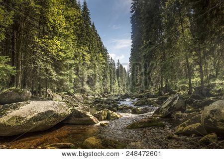 River Vydra In Sumava Mountains