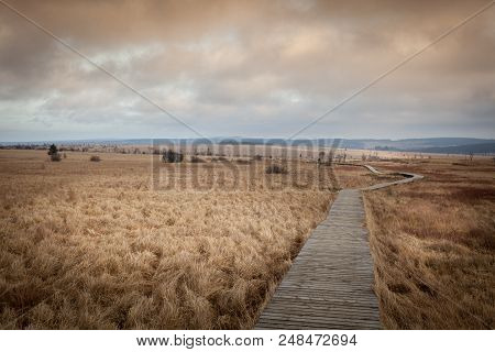 Autumn View Of The Hautes Fagnes On Top Of Belgium In Wallonia.