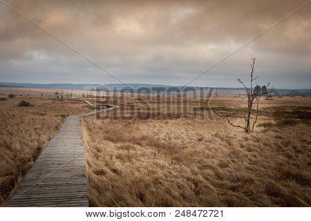 Autumn View Of The Hautes Fagnes On Top Of Belgium In Wallonia.
