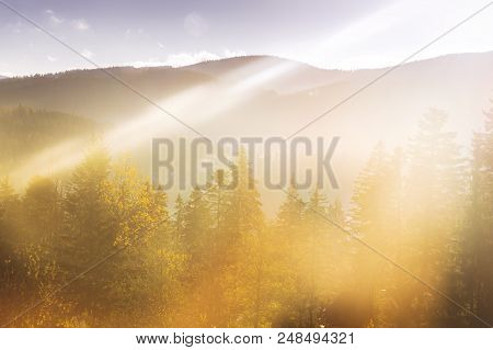 Bright Sunrise Light Shining Through The Trees, Somewhere In The Mountains In Romania.