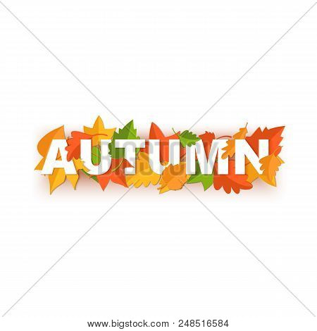 Word Autumn Composition With Green Yellow Red Leaves On White Background In Paper Cut Style. Fall Le