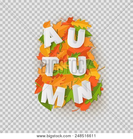 Word Autumn Composition With Green Yellow Red Leaves With Shadow In Paper Cut Style. Fall Craft Leaf