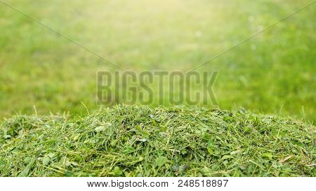 Services For Lawn Care, Grass Cutting In The Garden And In The Yard, Banner 16x9 Format With Space F