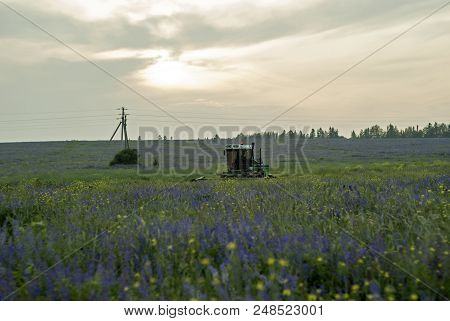 Pastoral Landscape With A Flowering Meadow And A Machine For Cleaning Livestock Feed In The Backgrou