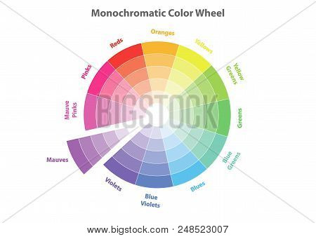 Monochromatic Color Wheel, Color Scheme Theory, Mauves Color In Evidence, Vector Isolated Or White B