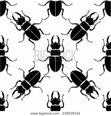 Texture An Animal Print - A Pattern From Beetle. Insects Are Black On A White Background.