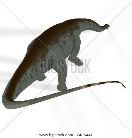 Apatosaurus Aka Brontosaurus