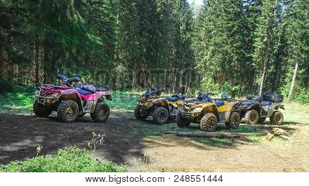 Atv Quad Bike In A Pine Forest In Summer
