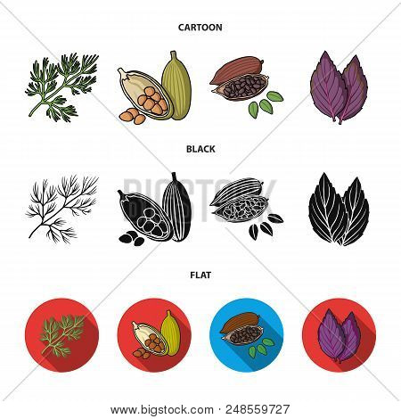 Dill, Cocoa Beans, Basil.herbs And Spices Set Collection Icons In Cartoon, Black, Flat Style Vector 