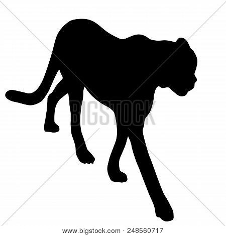 Silhouette Of The Lynx On A White Background.