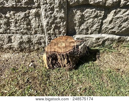 A Big Tree Log Laying On The Grass Near A Stone Wall.
