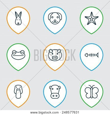 Animal Icons Set With Dog, Frog, Pig And Other Kine Elements. Isolated  Illustration Animal Icons.