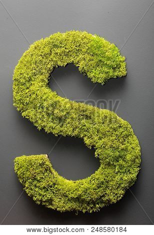 Letter S Of Moss.on The Grey Wall.