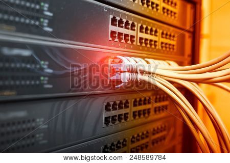 network cable connecting on network core switch close up