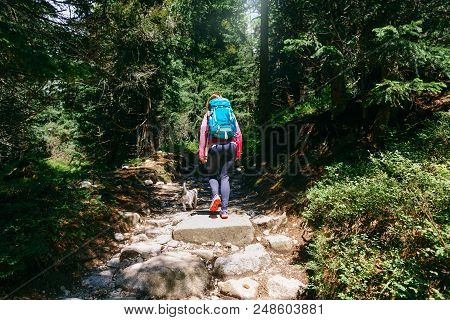 Woman With Backpack And Little Dog Walking Mountains Tatras, Slovakia