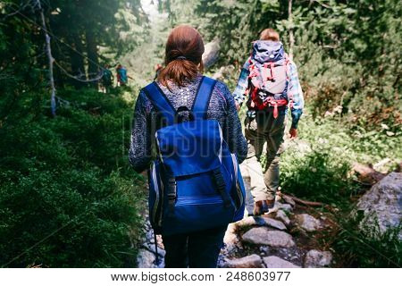 Group Of Tourists With Backpack Walking Forest. Travel And Backpacking Lifestyle Concept