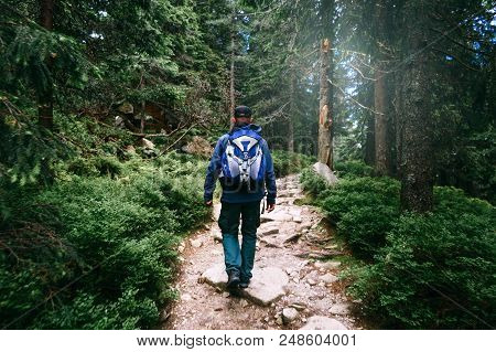 Man With Backpack Walking Dense Forest. Travel Lifestyle Concept