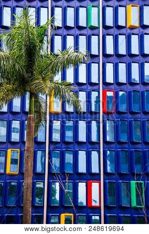 Modern Architecture Blue Building With Colorful Windows And A Palm Tree In Front.